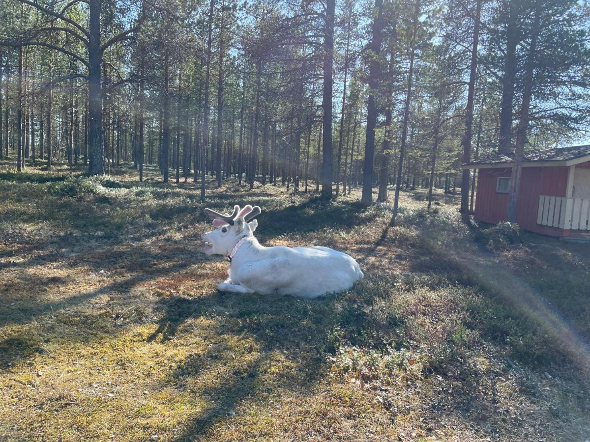 ホテル Porotila Toini Sanila Sevettijärvi エクステリア 写真